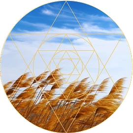 mundo-aire